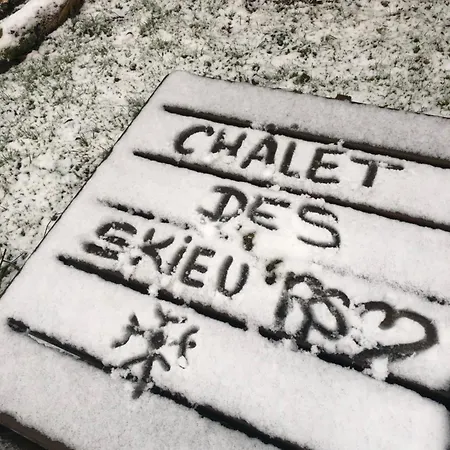 Σαλέ Le Des Skieurs Vosges